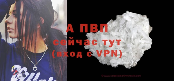 винт Ахтубинск