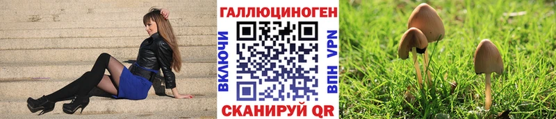 ссылка на мегу как зайти  Кудымкар  Галлюциногенные грибы прущие грибы 